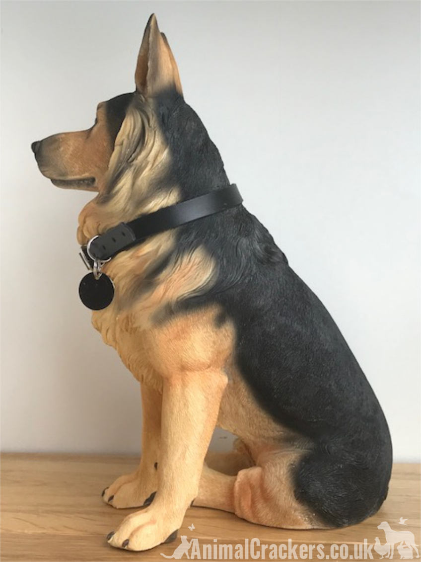 extra large german shepherd